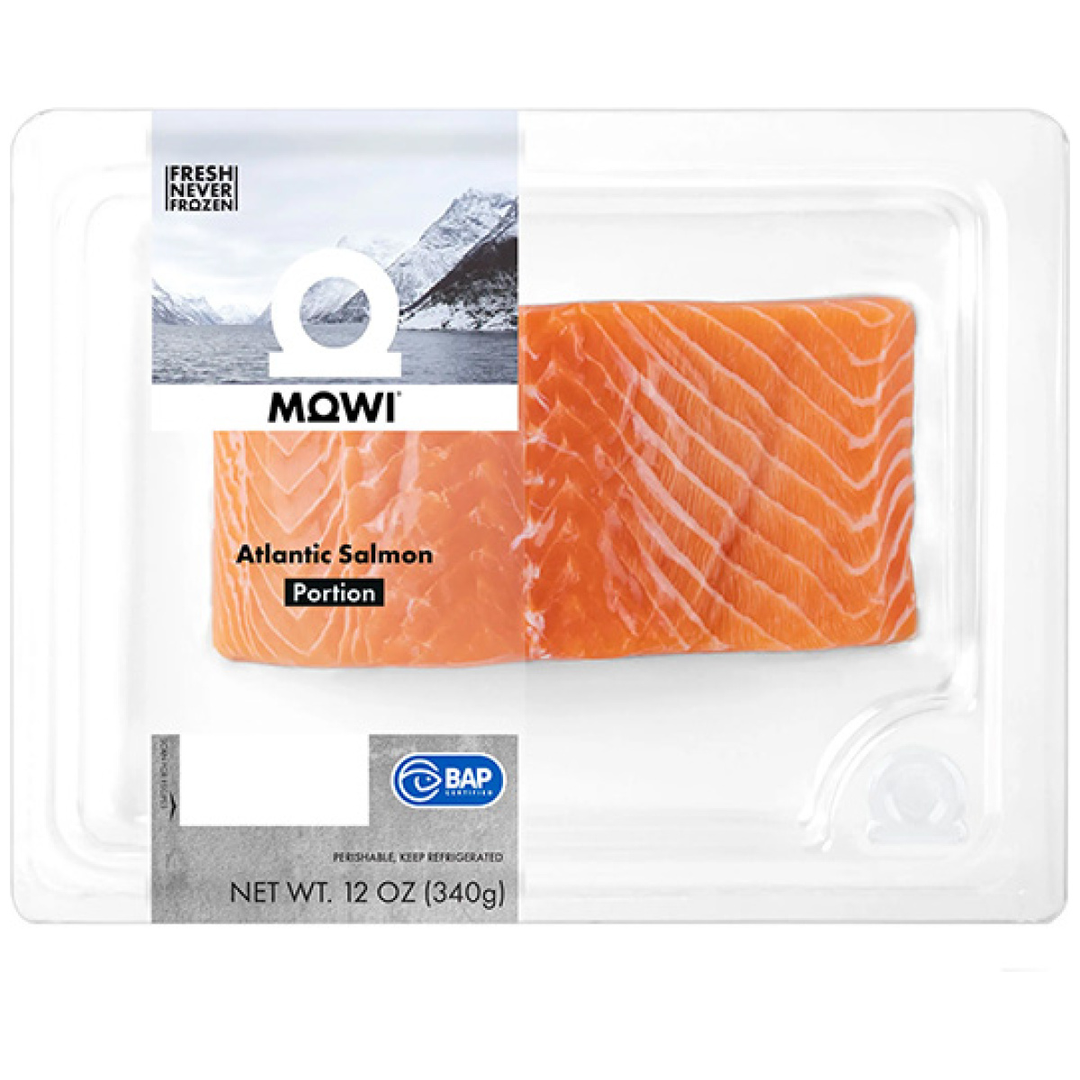 Atlantic Salmon Portion - Image 1
