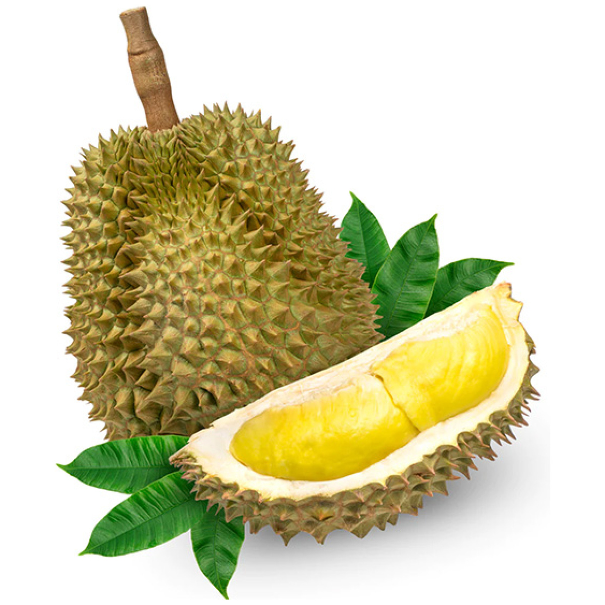Durian Whole - Image 1