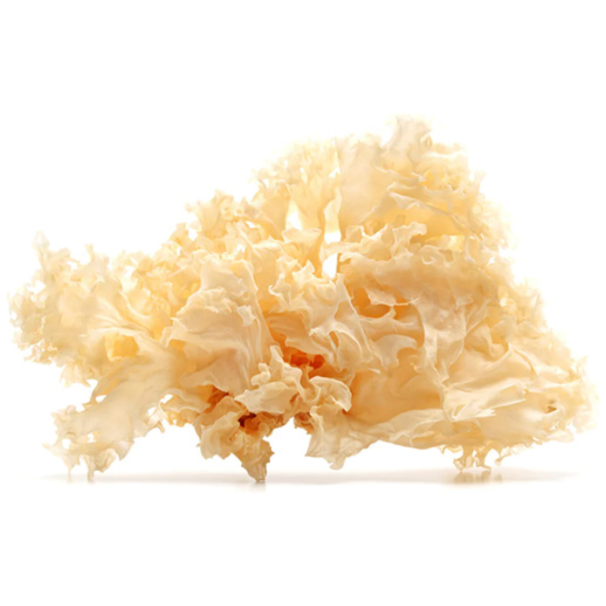 Dried White Fungus - Image 1